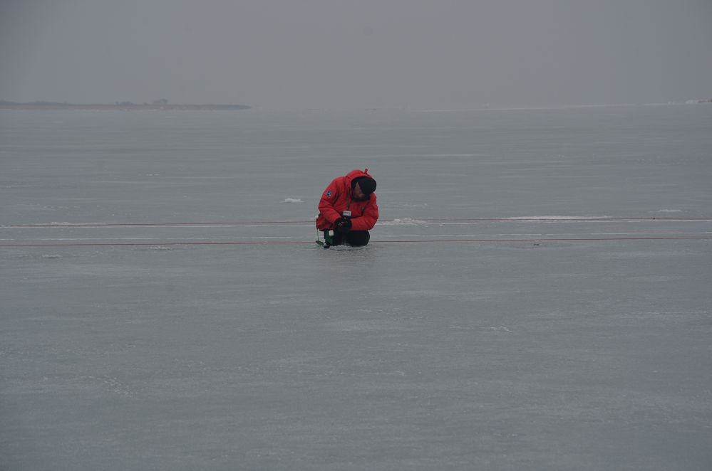 DSC_0108.jpg