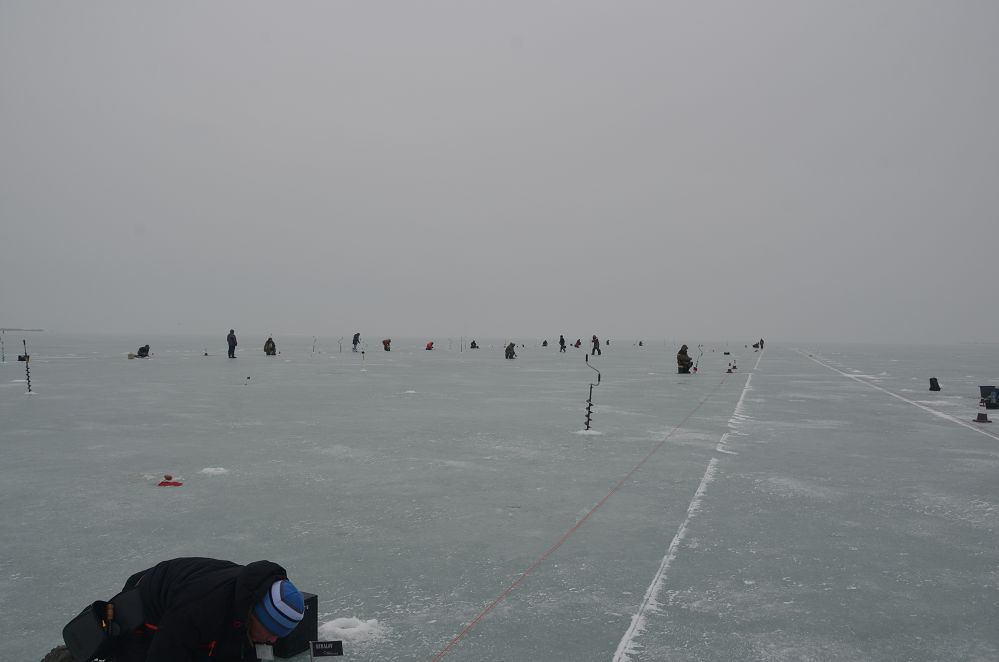 DSC_0125.jpg