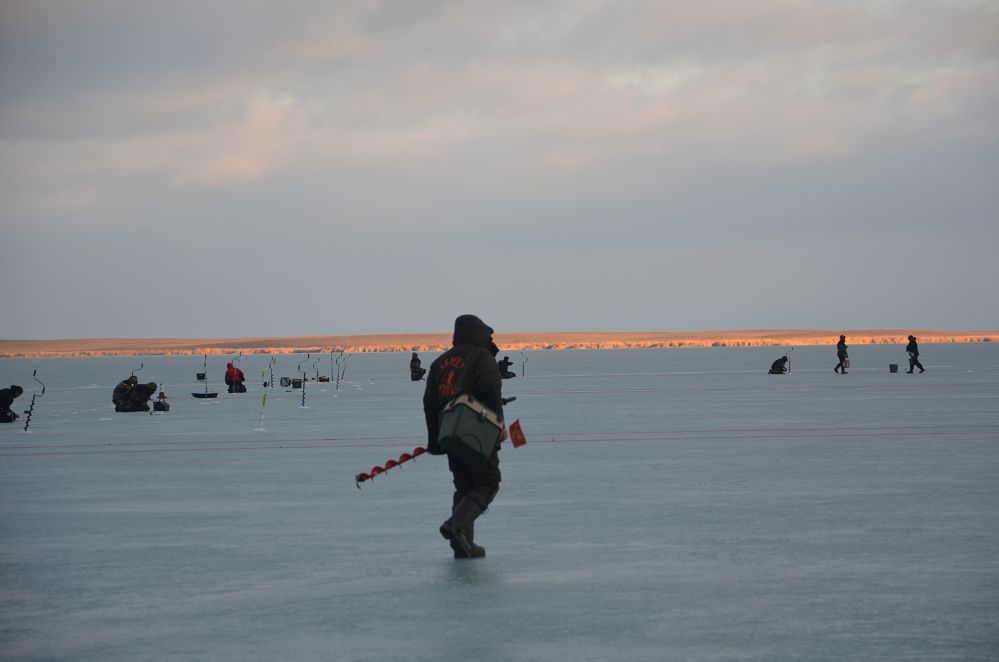 DSC_0153.jpg