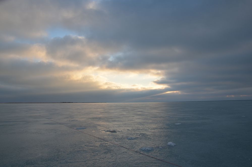 DSC_0155.jpg