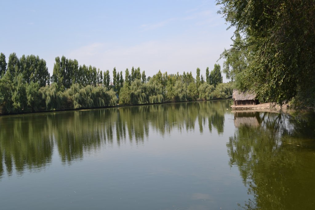 DSC_0607.JPG