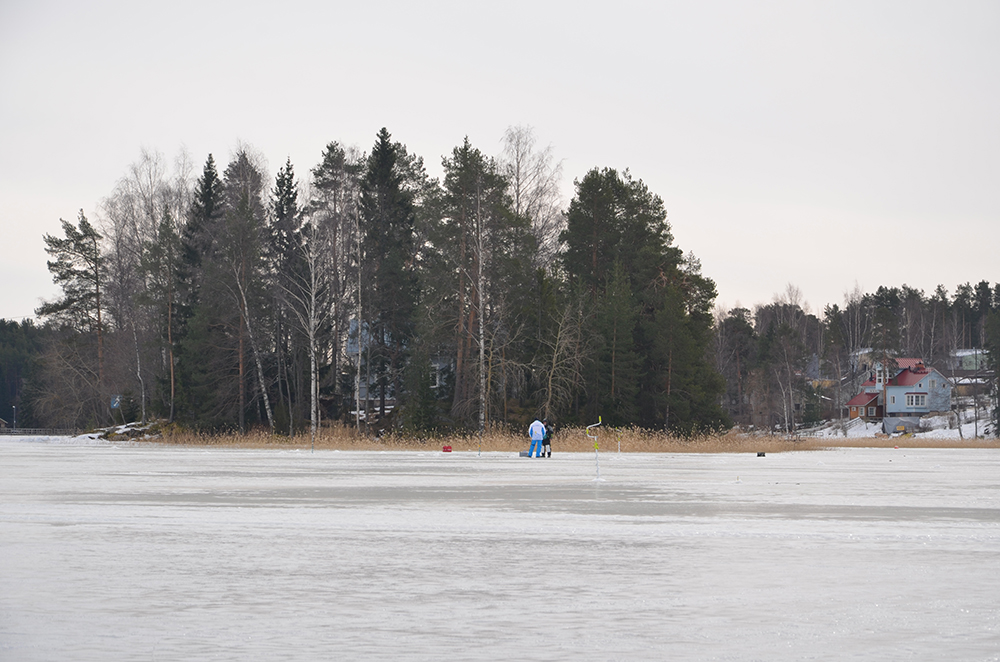 DSC_1121.JPG