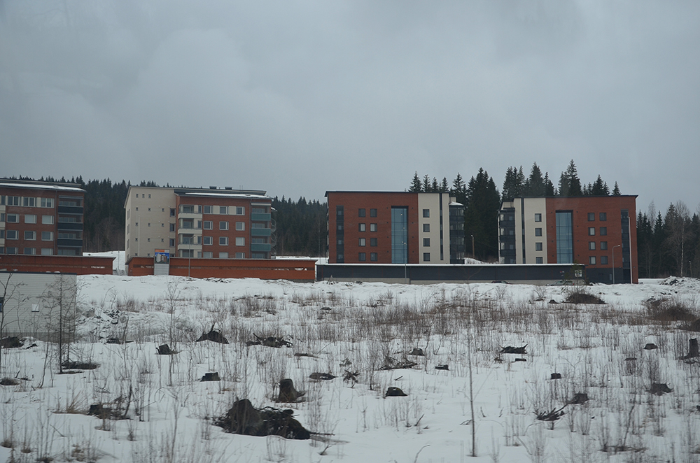 DSC_1156.JPG