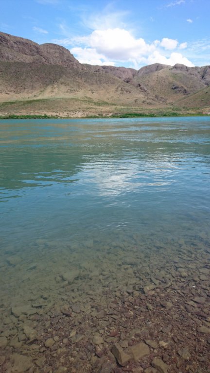 DSC_1530.JPG
