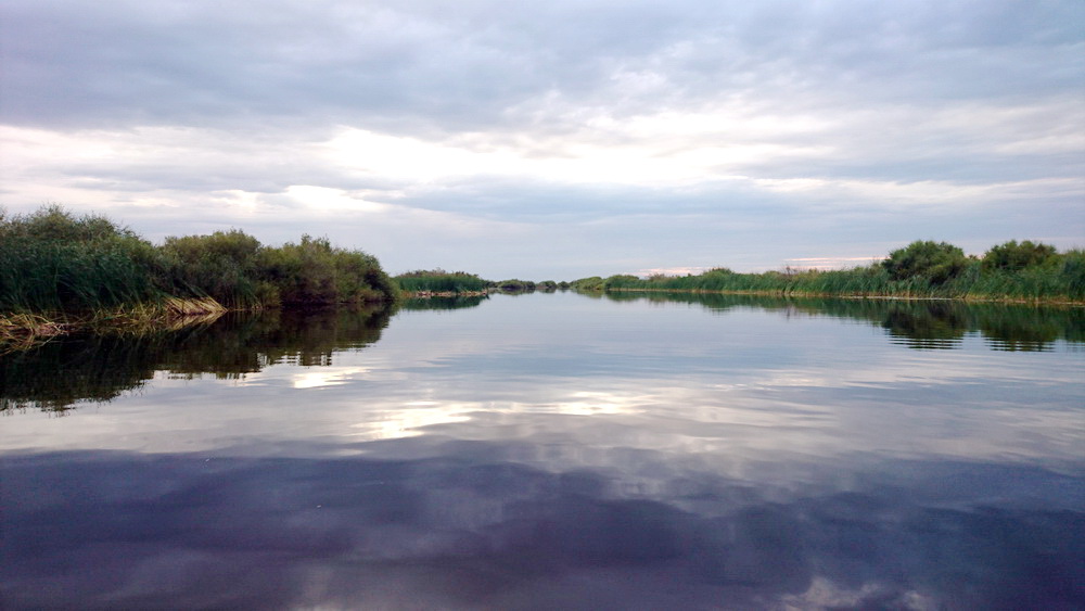 DSC_1660.JPG