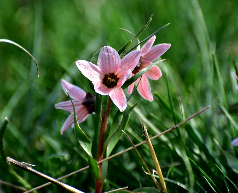 DSC_9324.JPG
