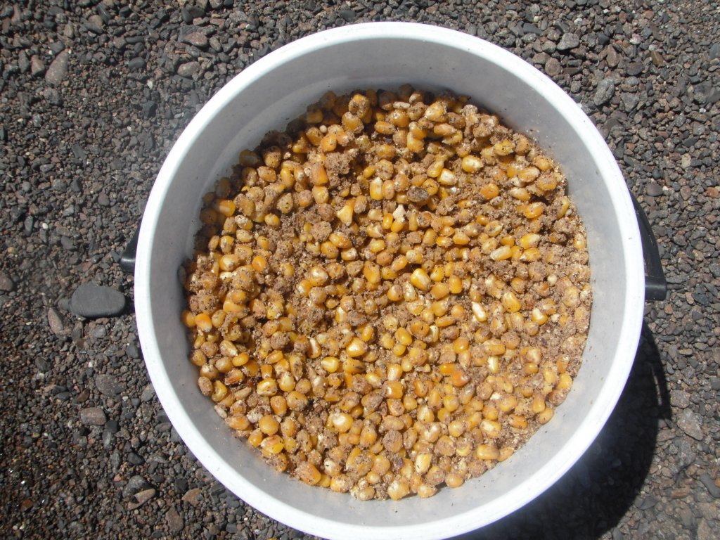 DSCF1155.JPG