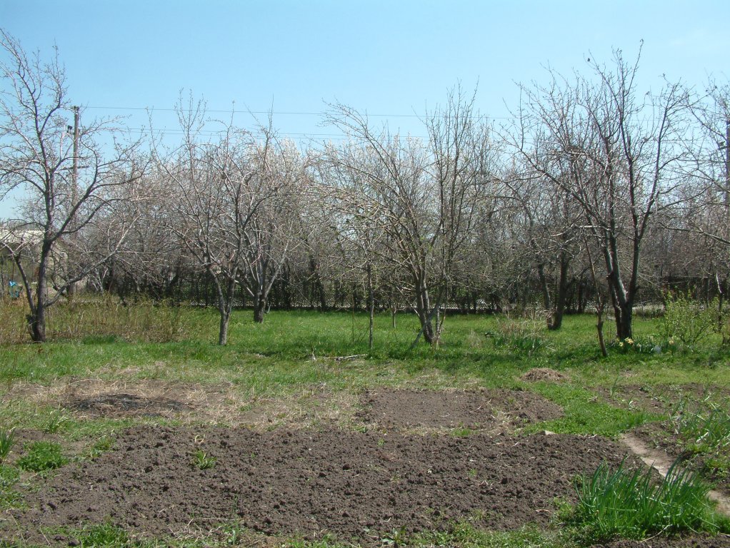 DSCF1173.JPG