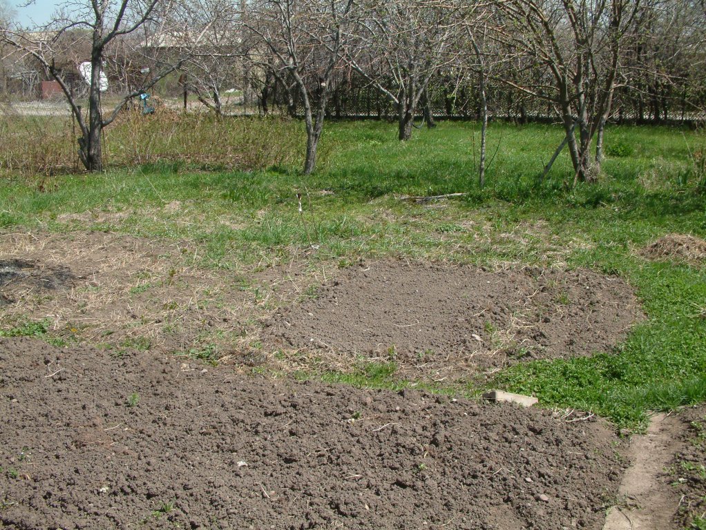 DSCF1194.JPG