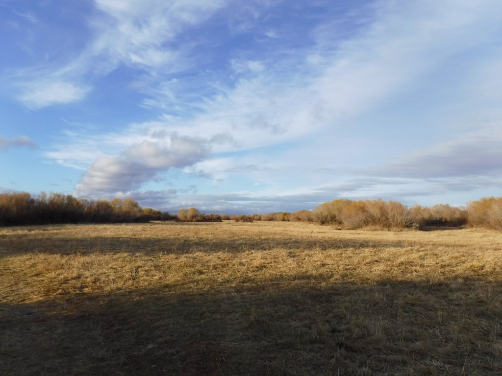 DSCF2375.JPG