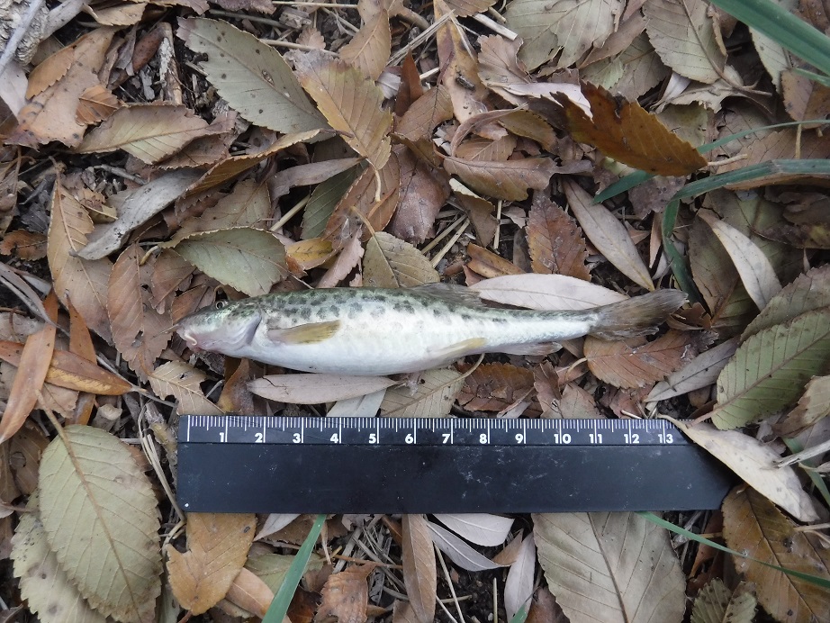 DSCF2853.JPG