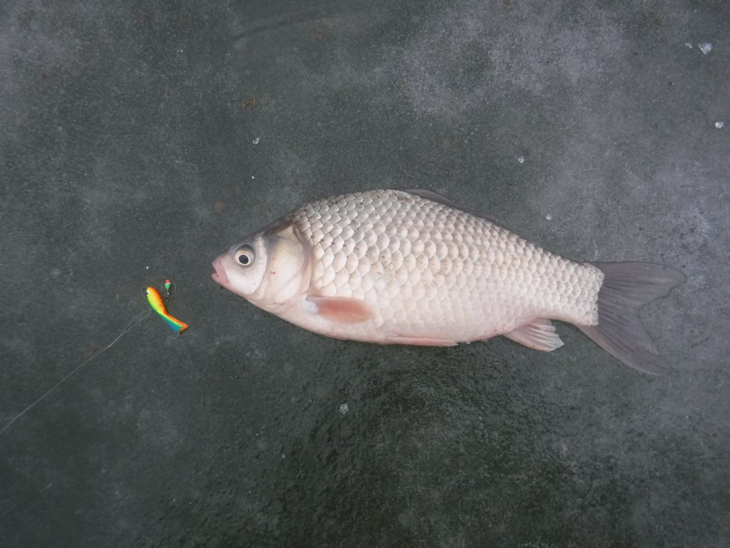 DSCF3391.JPG