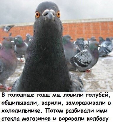 image.jpg