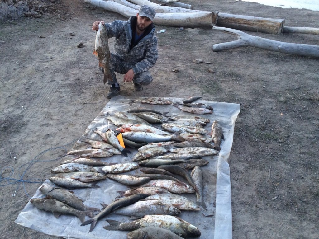 IMG-20150322-WA0012[1].jpg