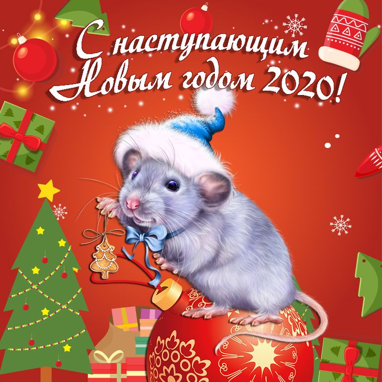 IMG-20191231-WA0006.jpg