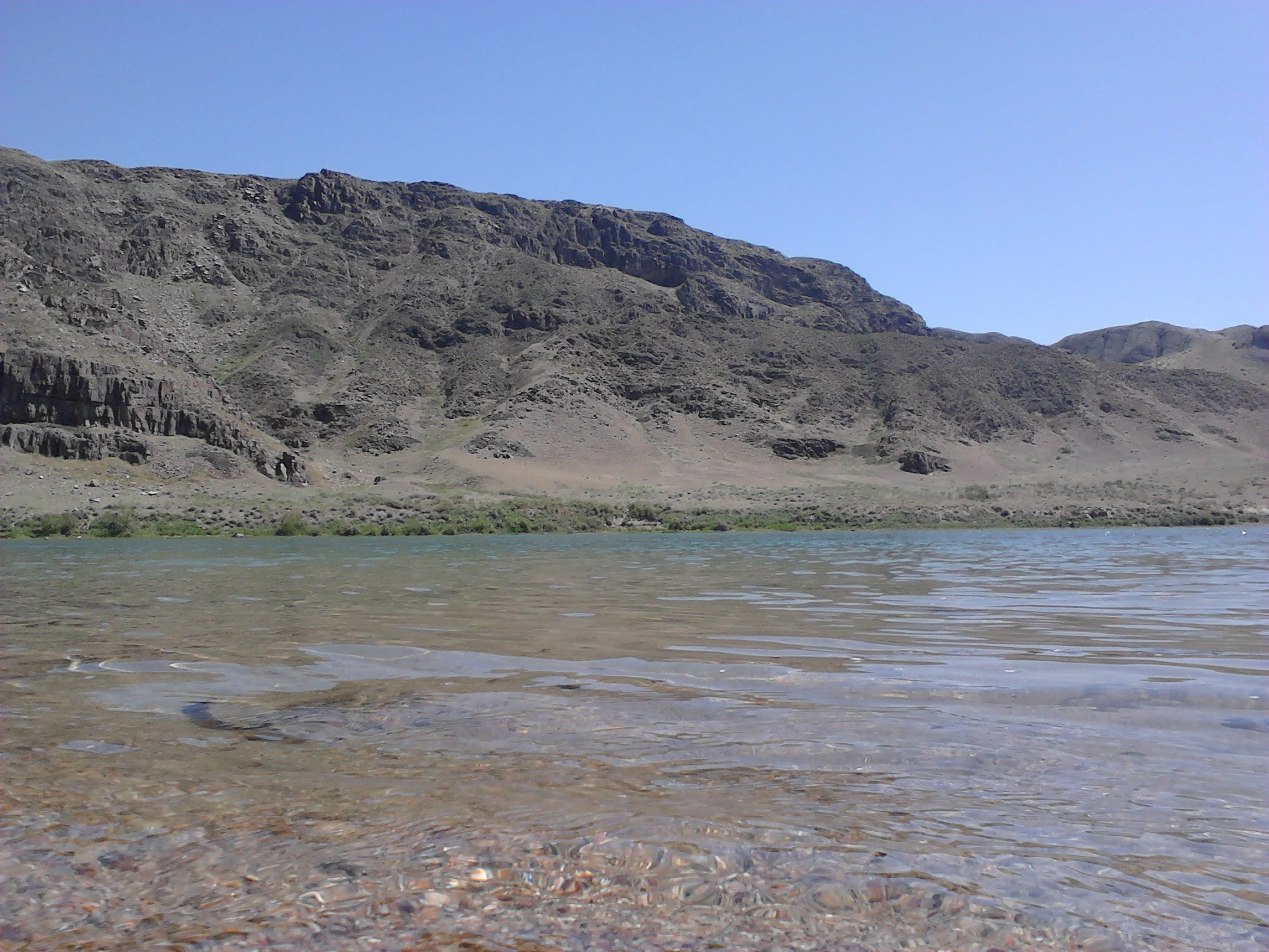 IMG343.jpg