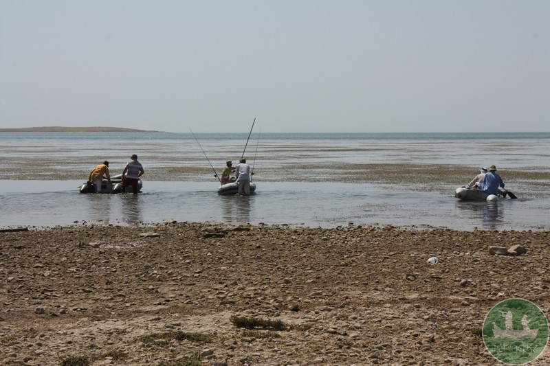 IMG_0748.jpg