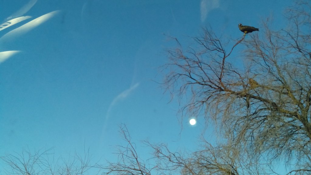 IMG_20140329_071855.jpg