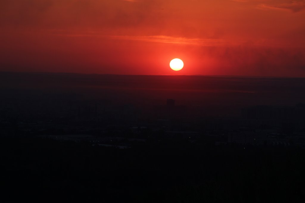 IMG_2599.JPG