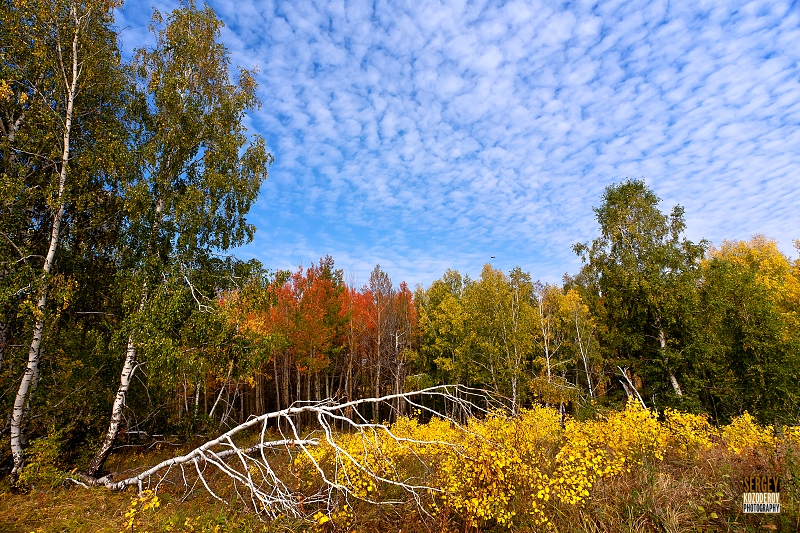 IMG_4108-137x-web.jpg