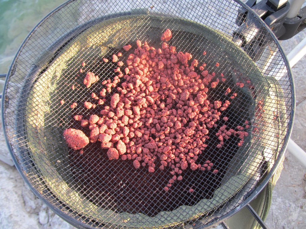 IMG_4584.JPG