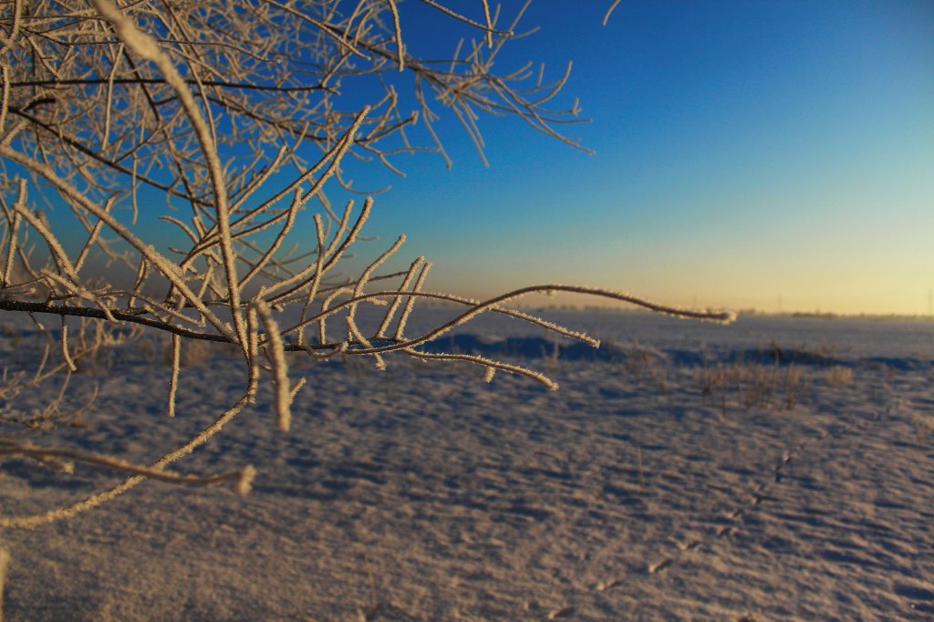 IMG_6034.JPG