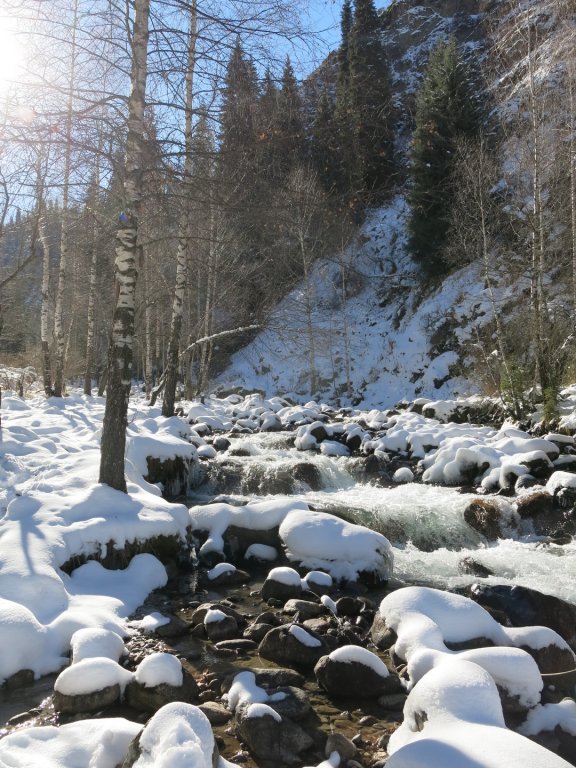 IMG_8501.JPG