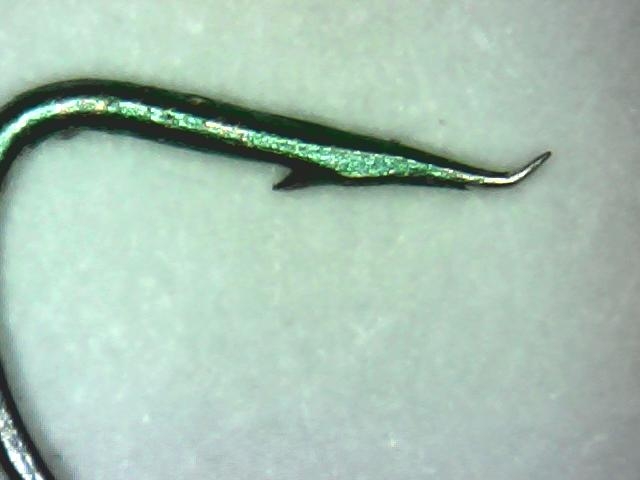 Mustad_Ultra_Fine_Bloodworm_16_old.JPG