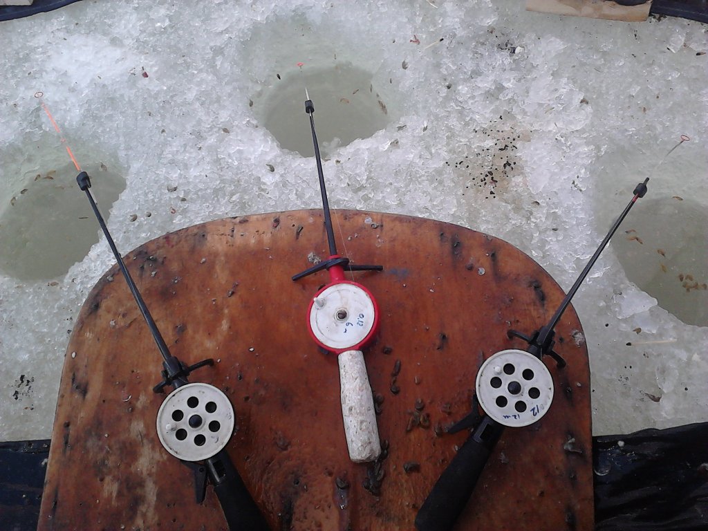 P140414_10.51.jpg