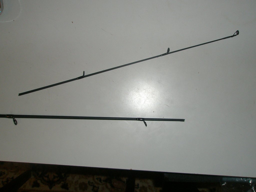 PB250147.JPG