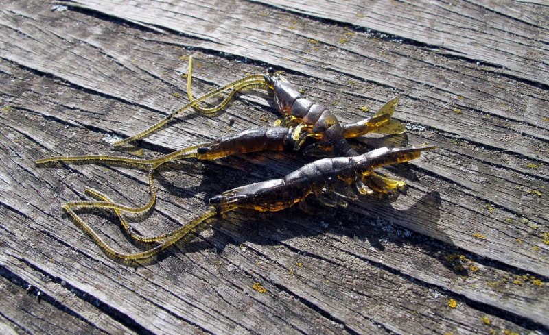 savage-gear-3d-real-shrimp-natural-fjord.jpg