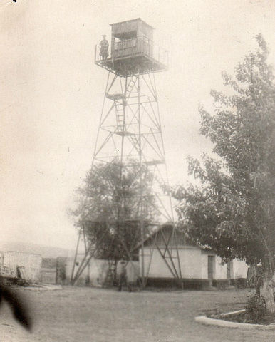 тасты1.jpg
