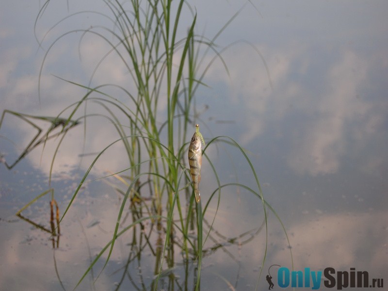 watermarked-foto_7_2-1.jpg