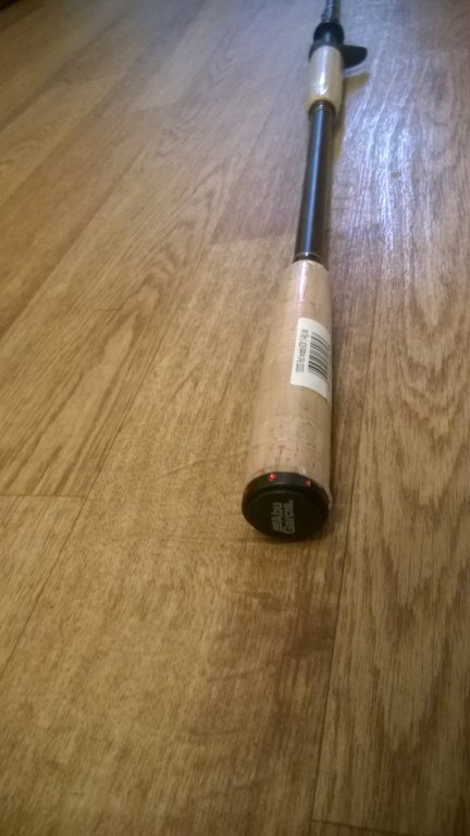 WP_20160611_007.jpg