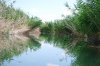 gallery_59_38_137088.jpg