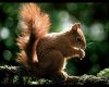 clip_image027.jpg