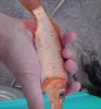 DSC01104.JPG