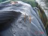 DSC09529.jpg