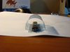 DSC00224.JPG