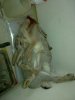 08012011216.jpg