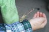 IMG_3668__Small_.jpg