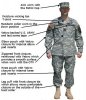 acu_pic07.jpg