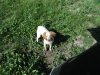 DSCF1023.JPG