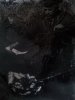 20130120_155327.jpg
