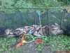 DSC03351.JPG