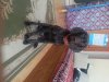 20130221_170755.jpg