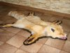 DSC03057.JPG
