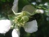 IMG_6884.JPG