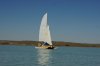 DSC06529.JPG