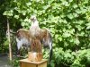 DSCF4903.JPG